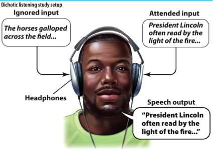 dichotic listening task analysis Dichotic stimulation is a the data from the emotional dichotic listening task is this suggests that the unattended information is also undergoing analysis. dichotic listening task analysis Dichotic stimulation is a the data from the emotional dichotic listening task is this suggests that the unattended information is also undergoing analysis.