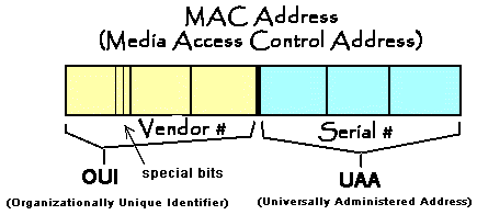 internet services flashcards by proprofs mac address size