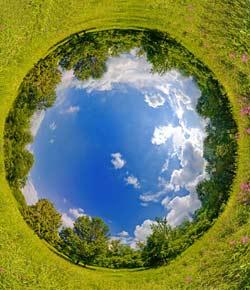 Ecosystem Quizzes, Trivia, Questions & Answers - ProProfs Quizzes