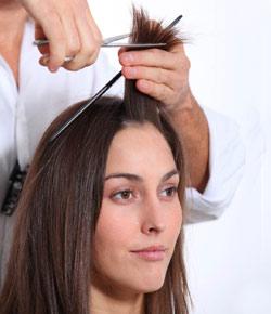 Which Haircut Should I Get? - ProProfs Quiz