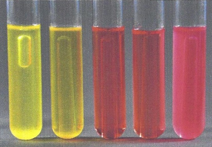 Phenol Red Glucose Test Retention Of The Test Meal (phenol Red+5%